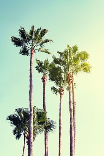 Azusa Property Management image 1