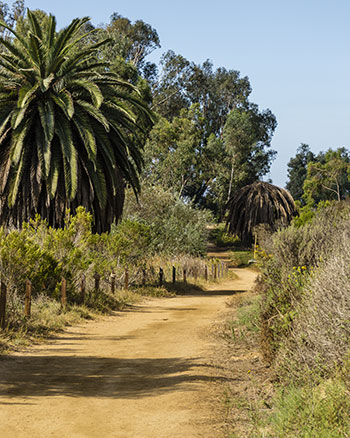 Brea Property Management image 1