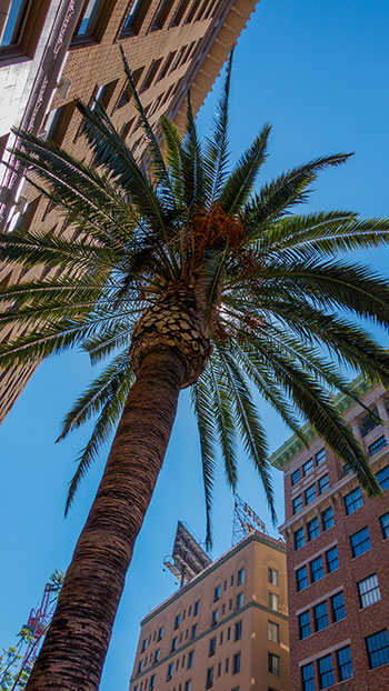 Culver City Property Management image 1