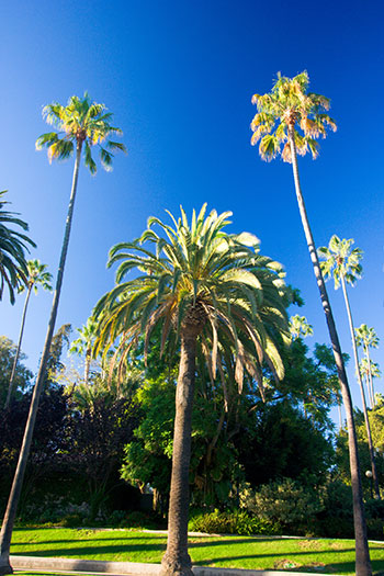 Downey Property Management image 1