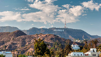 Hollywood Property Management image 1