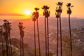 North Hollywood Property Management image 1