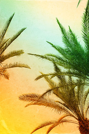 Orange Property Management image 1