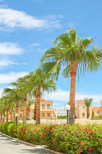Paramount Property Management image 1