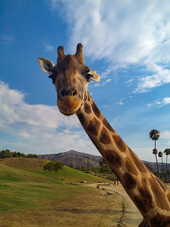 San Diego Property Management image 1