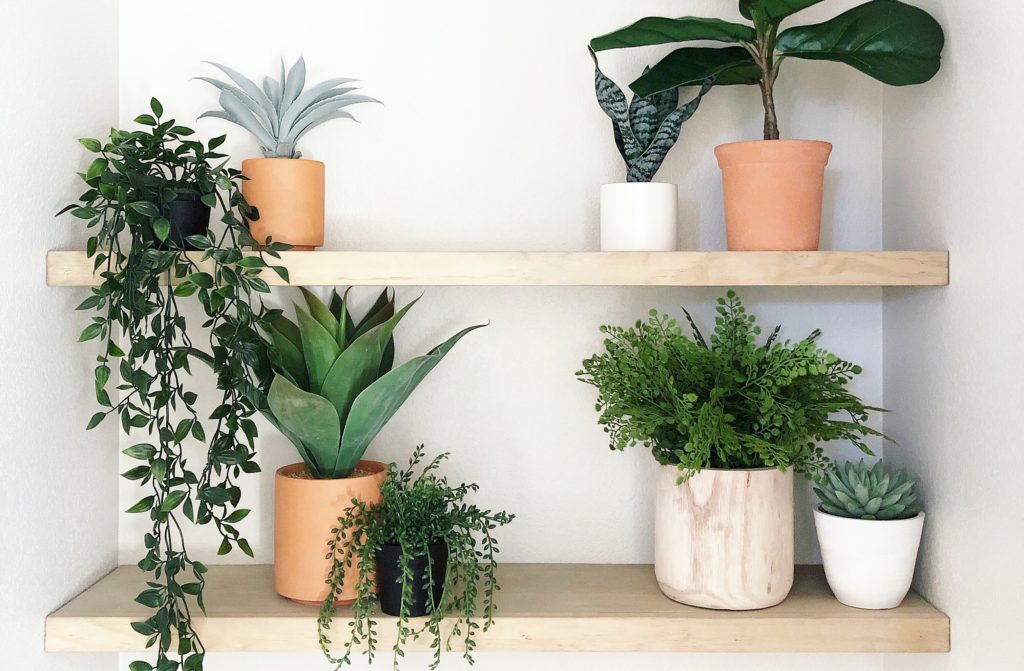 fake plants avoid potted plants