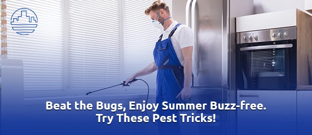 summer pest control tips 
