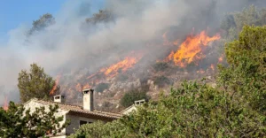 Protect Your Rental Property from Wildfires in Southern California